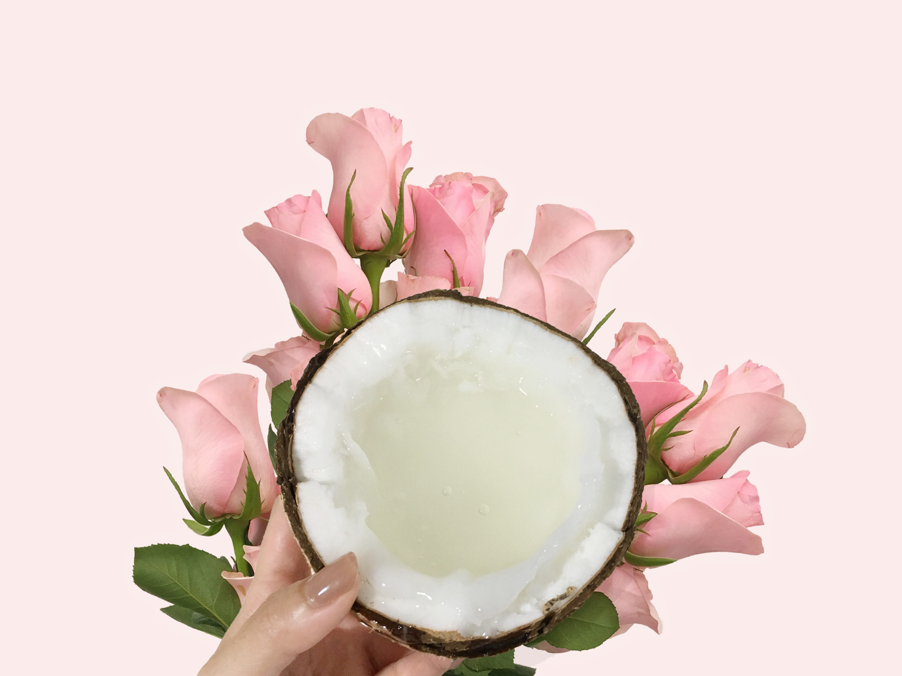 Coconut Oil, The New Fad or Fact?