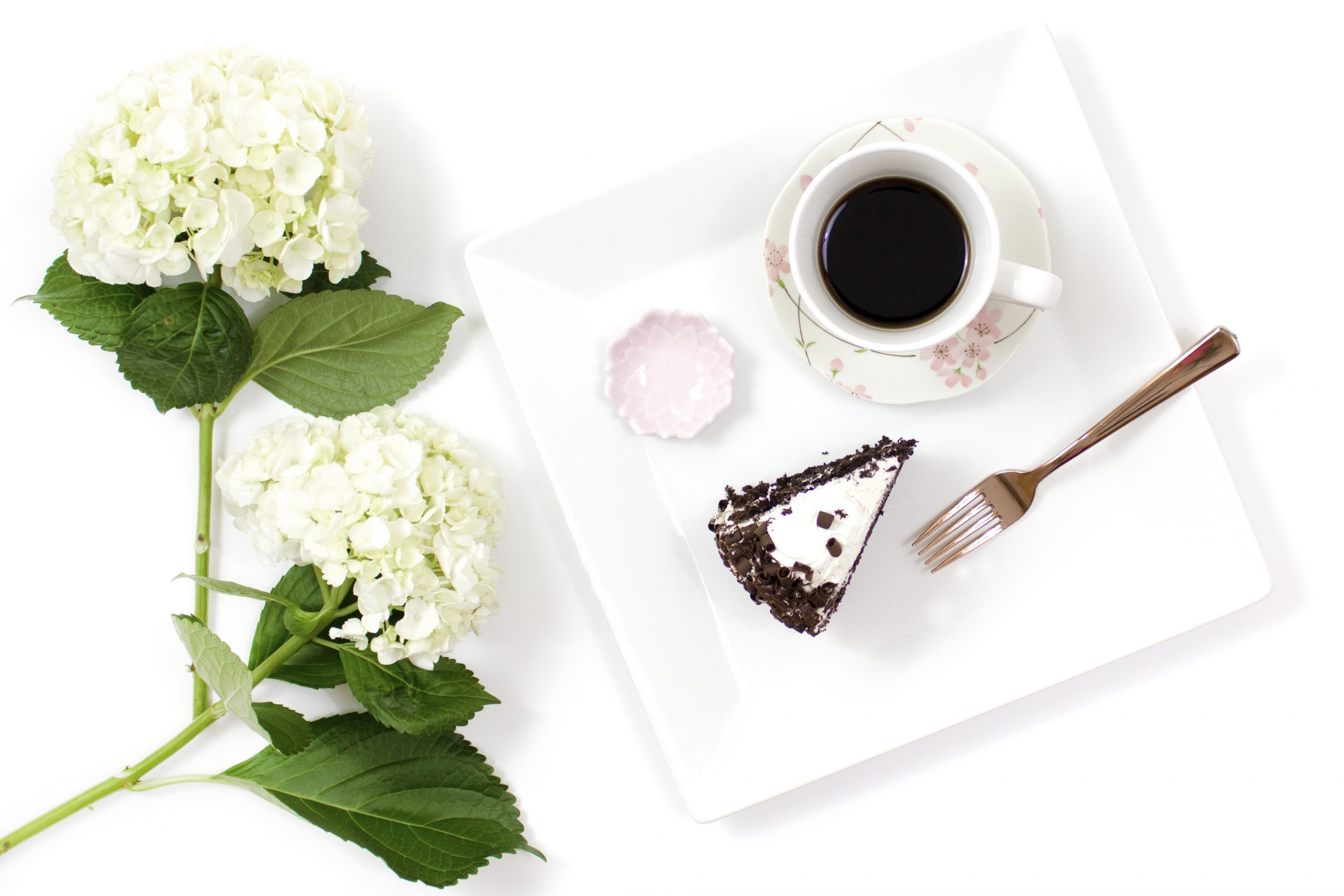 Why Cake, Cappuchino, and Wine May Be Surprisingly Good for You
