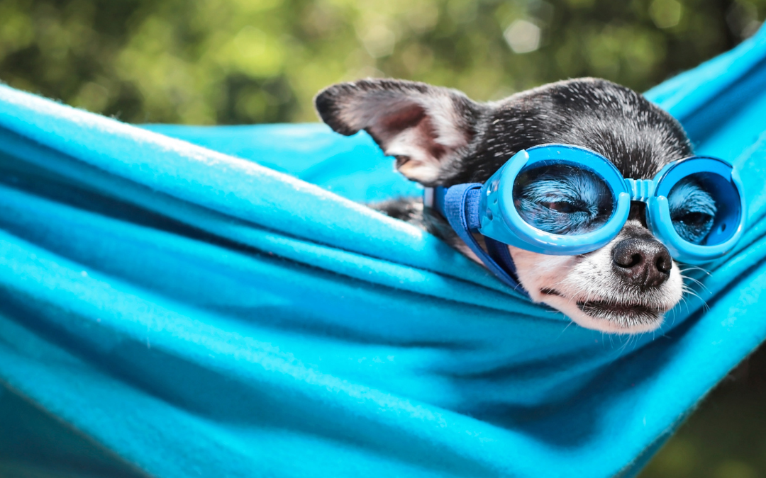 Want to get Healthy? Take a Nap!
