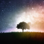 energy_update_February_2024