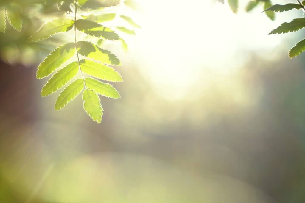 energy-update-march-2024