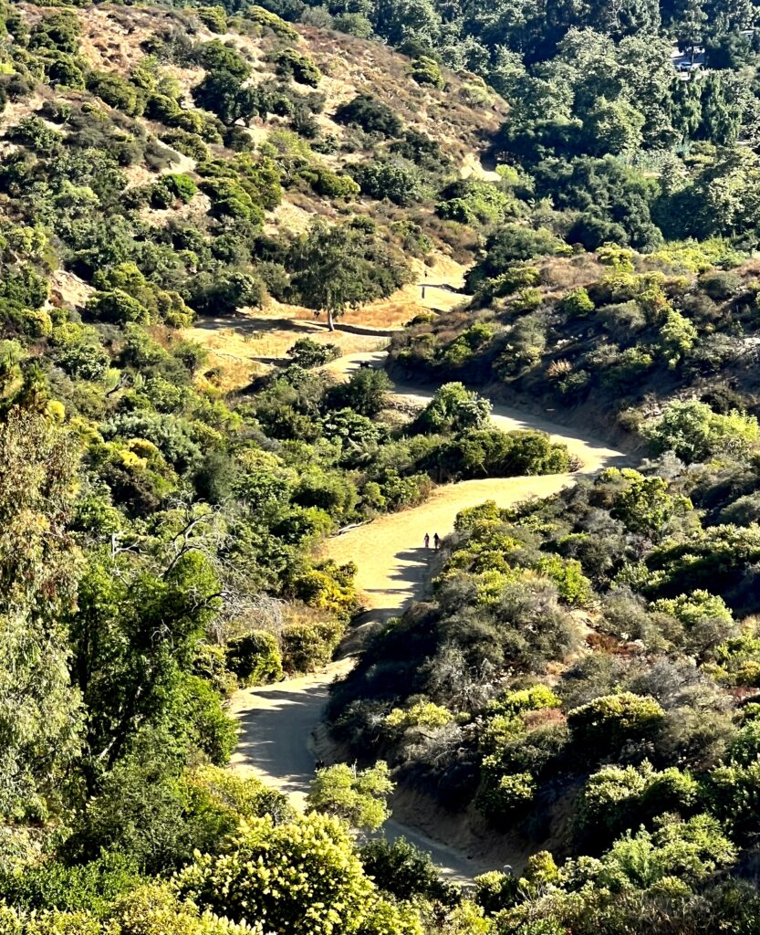 How Gratitude Heals the Pain of Rejection