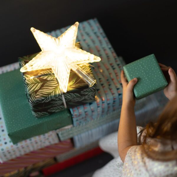 This_Holiday_Season_Give_the_Gift_of_Light_(@Best-Holistic-Life_@BestHolisticLifeMagazine_@Andrew-Mercein)_Cover-Photo