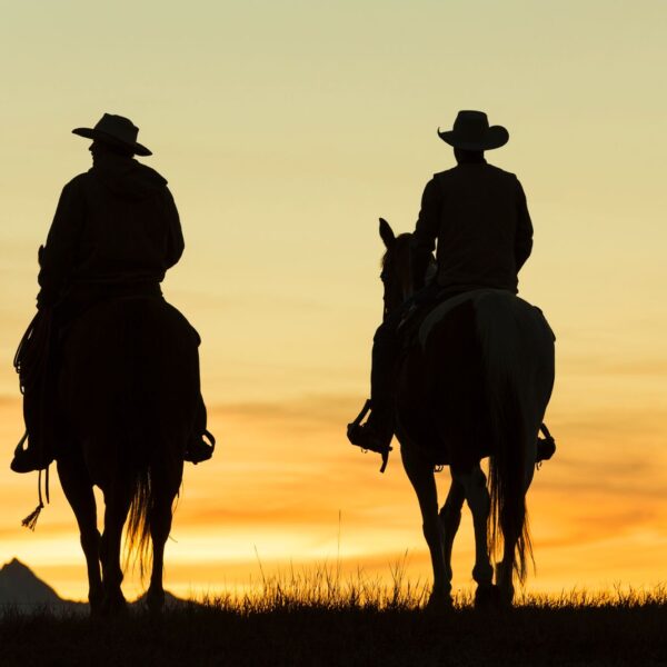 Navigating_Grief_with_NLP_Techniques_for_Cowboys_and_Law_Enforcement_Officers_(@Best-Holistic-Life_@BestHolisticLifeMagazine_@Scott-Gates-Wellness)_Cover-Photo