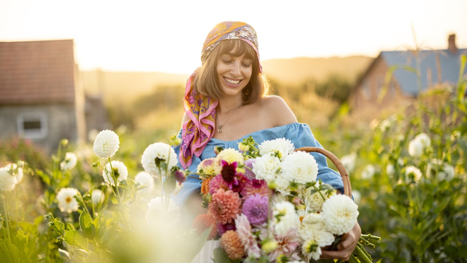 The_3_Laws_of_Energy_That_Instantly_Create_Unlimited_Abundance_(@Best-Holistic-Life_@BestHolisticLifeMagazine_@New-Release_@Dawna-Campbell)_Cover-Photo