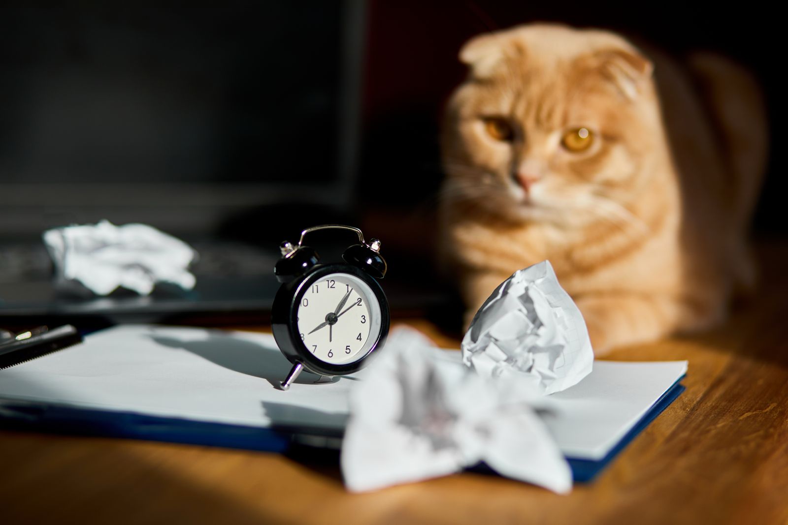 Time_It’s_Forgotten_Gifts_(@Best-Holistic-Life_@BestHolisticLifeMagazine_@New-Release_@Virginia-Oman)_Cover-Photo