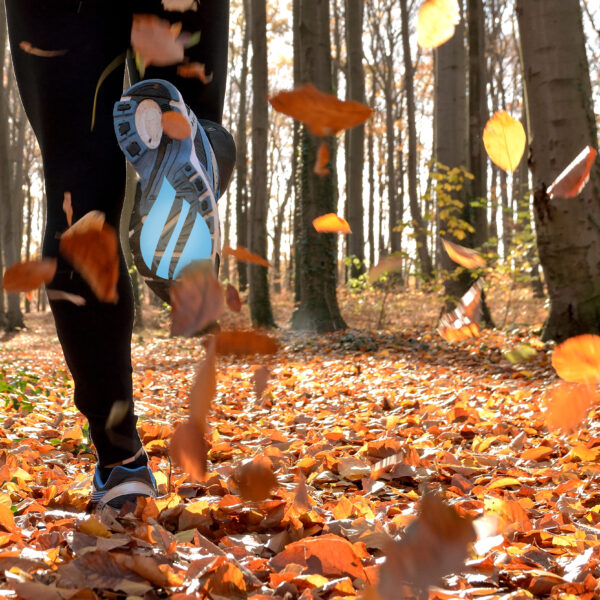 Fall_Artical__(2)_-_Susan_Frasca_(@Best-Holistic-Life-Magazine)