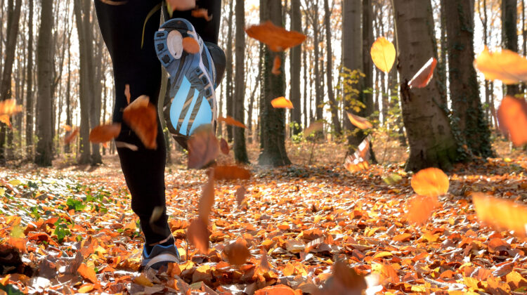 Fall_Artical__(2)_-_Susan_Frasca_(@Best-Holistic-Life-Magazine)