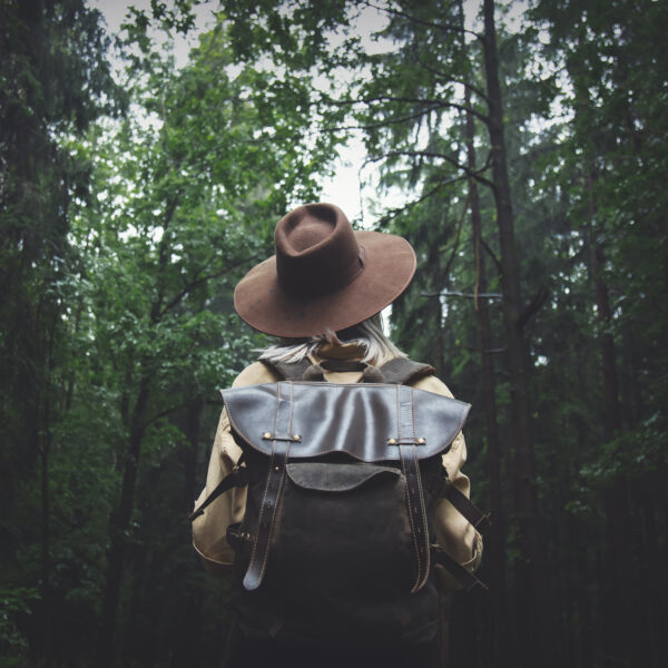 Wisdom_From_The_Wild_(@Best-Holistic-Life-Magazine @Parinaz-Shams).