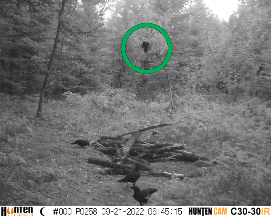 Afterlife Evidence Caught on Camera