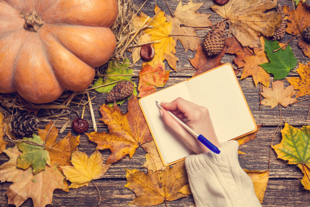 Holiday Survival Guide: How to Stay Sane When Your Family Isn’t