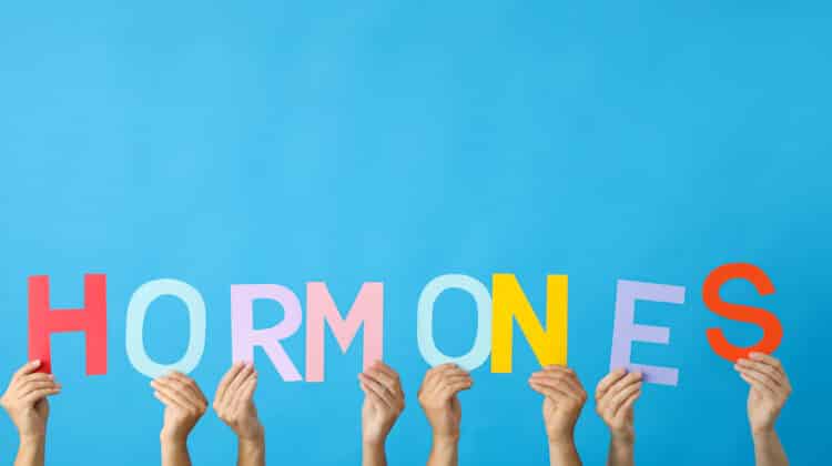 The Hormone Myth That Won't Die
