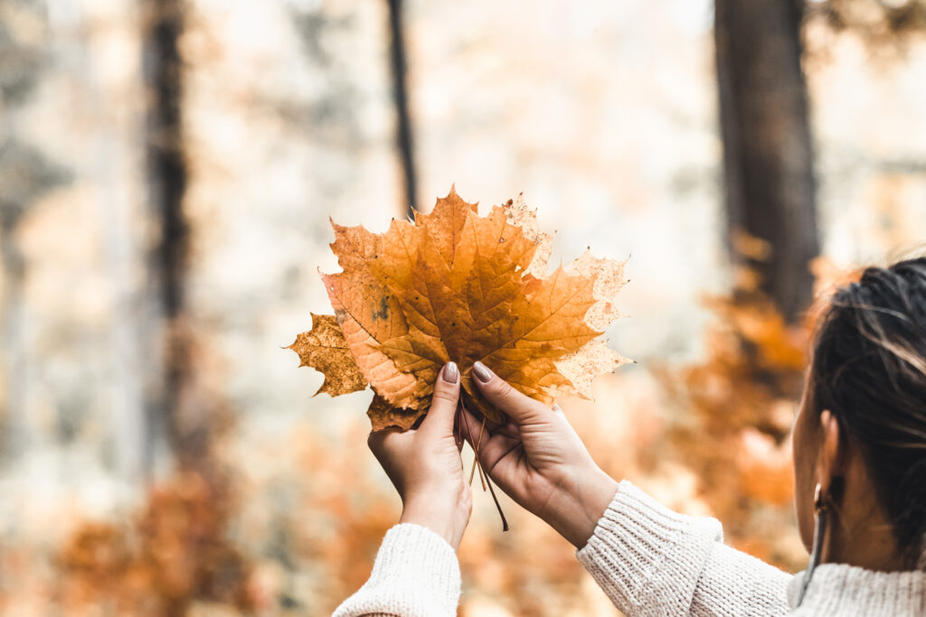 The Hidden Cost of Holding On